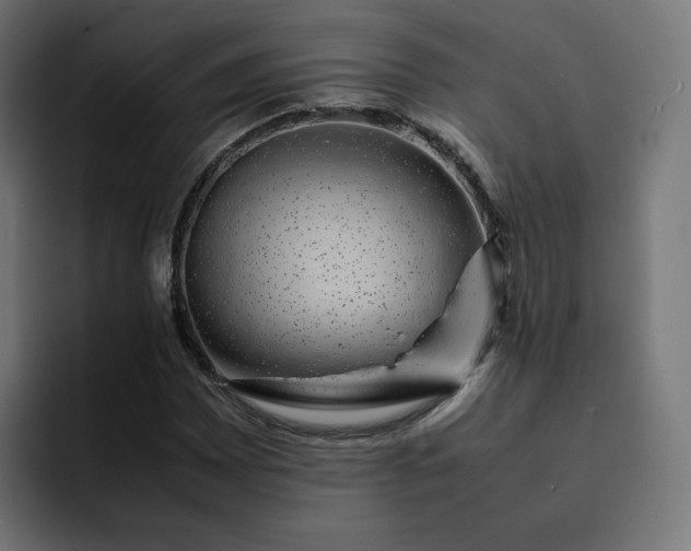 X0000093161065200710101150
