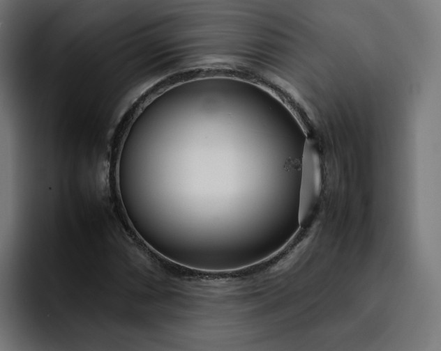 X0000093161066200710101150