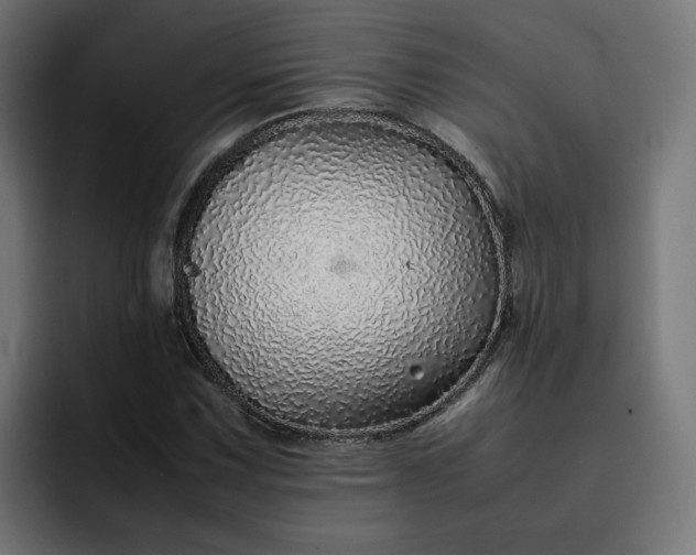 X0000093161067200710101150