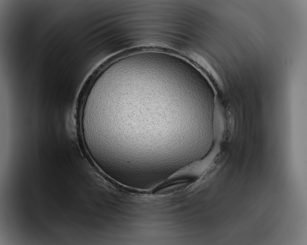 X0000093161068200710101150