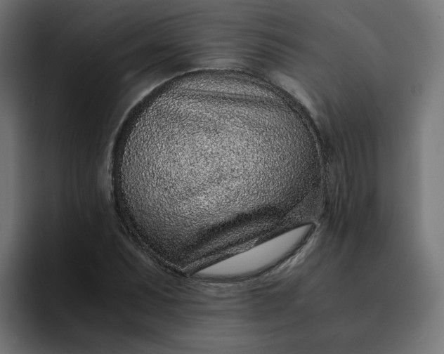 X0000093161071200710101150
