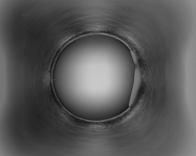 X0000093161073200710101150