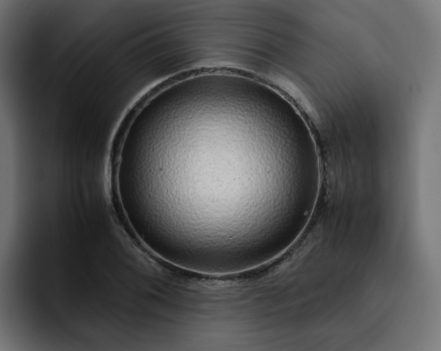 X0000093161076200710101150