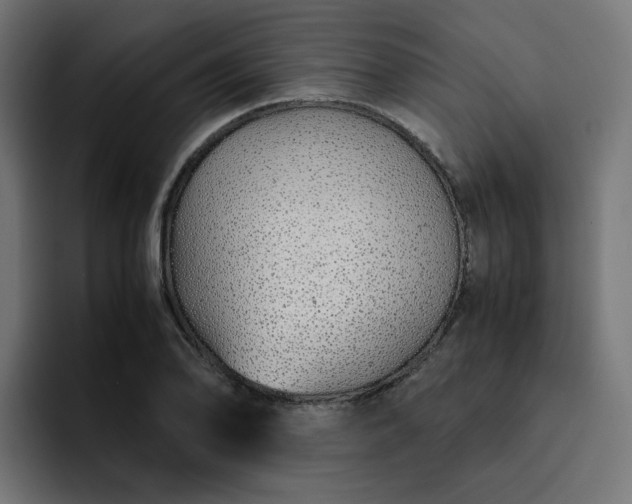X0000093161078200710101150