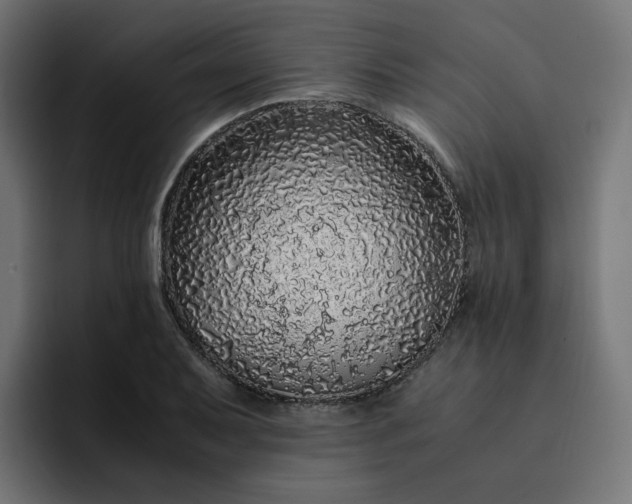 X0000093161079200710101150