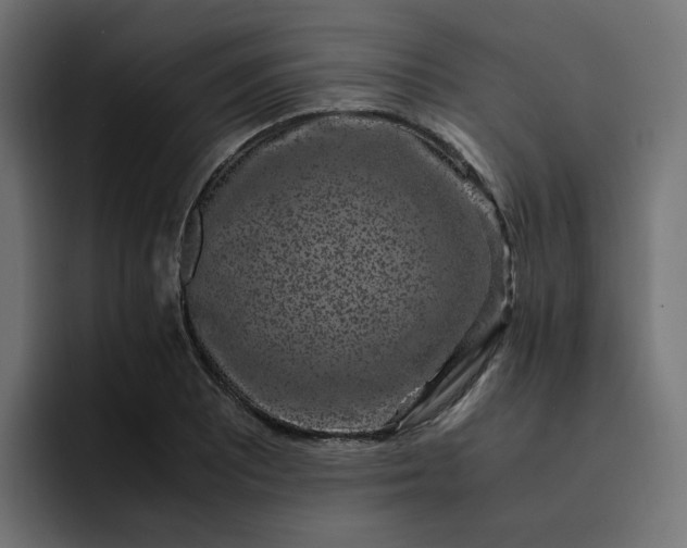 X0000093161081200710101150