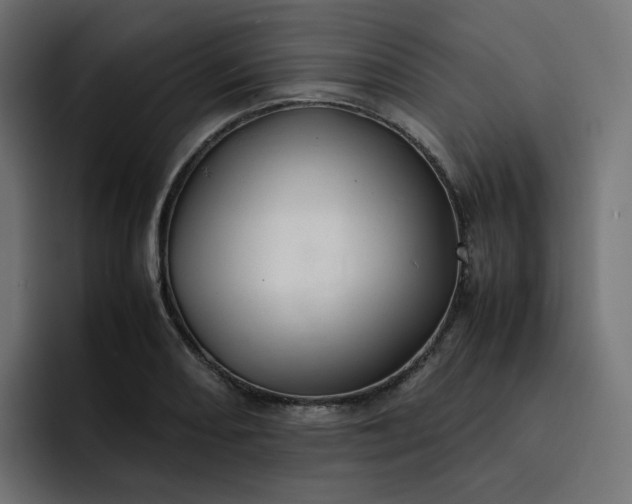 X0000093161082200710101150