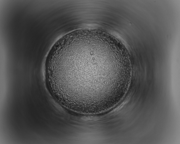 X0000093161083200710101150