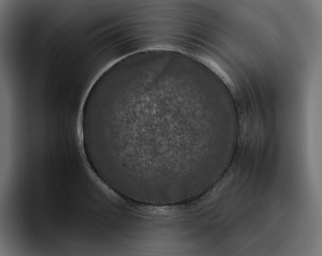 X0000093161084200710101149