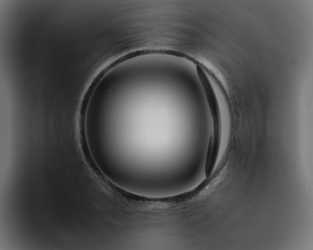 X0000093161085200710101149