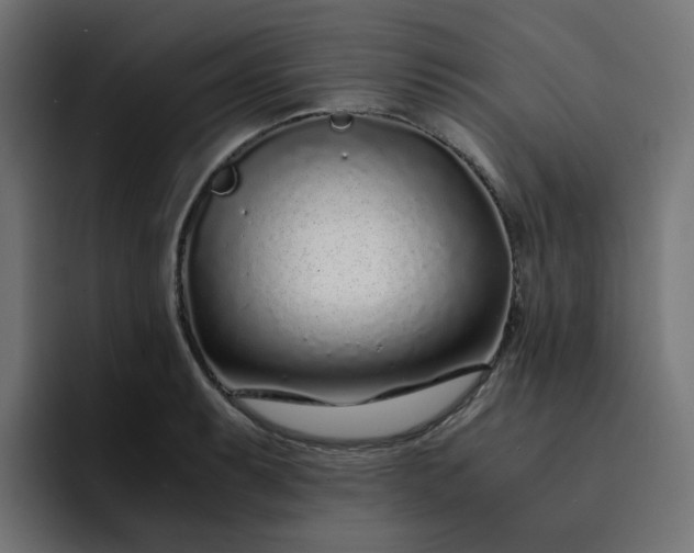 X0000093161087200710101149