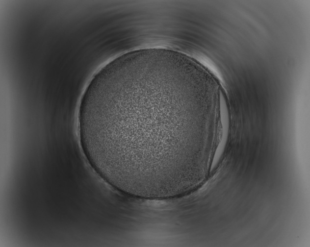 X0000093161088200710101149