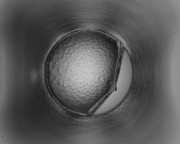 X0000093161091200710101149