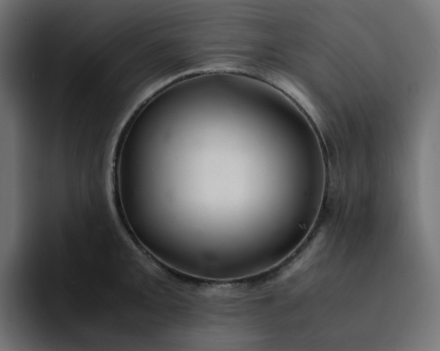 X0000093161093200710101149