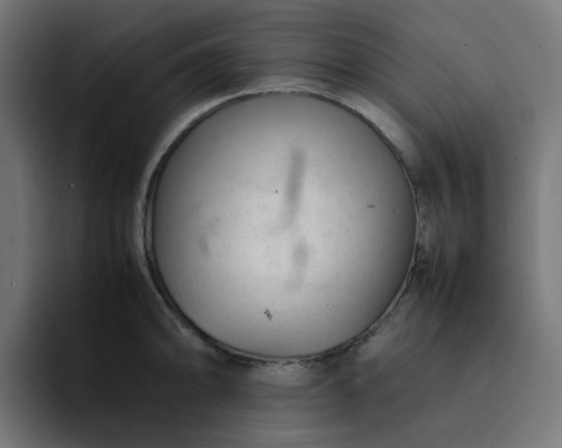 X0000093161094200710101149