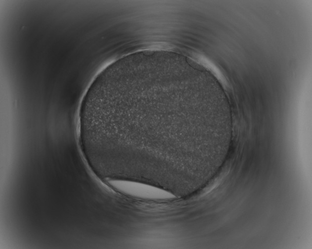 X0000093161095200710101149