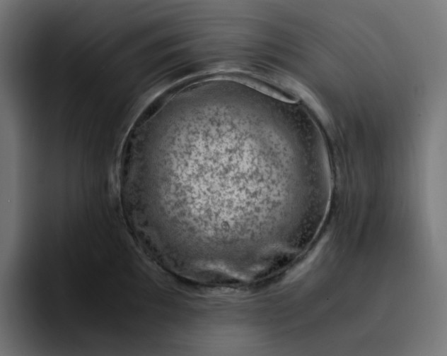X0000093161097200710101149