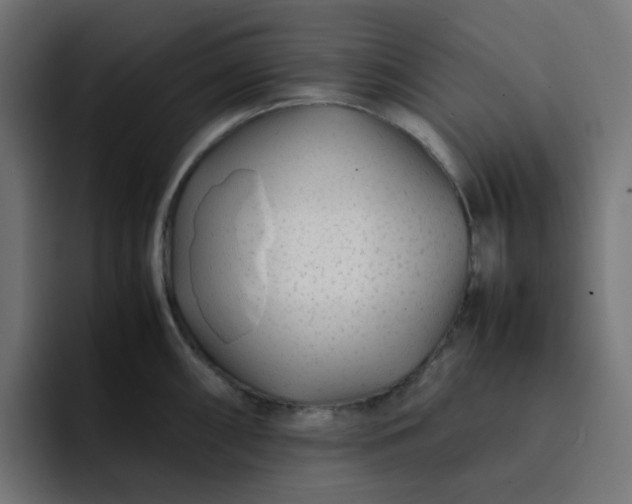 X0000093161098200710101149