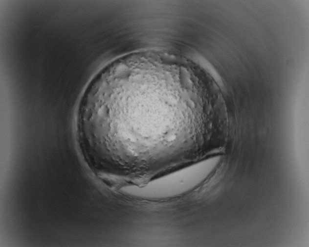 X0000093161099200710101149