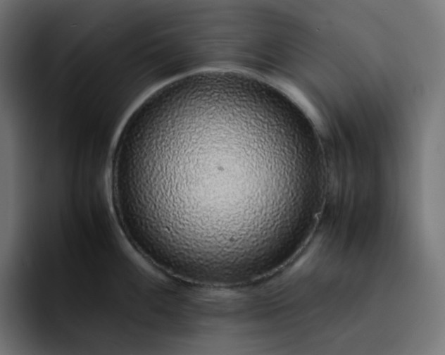 X0000093161100200710101149