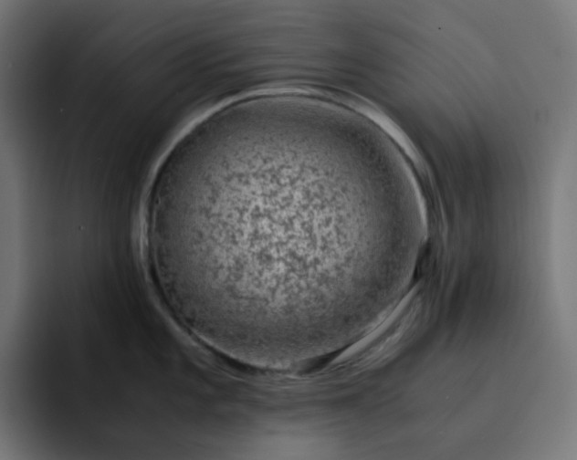 X0000093161101200710101149