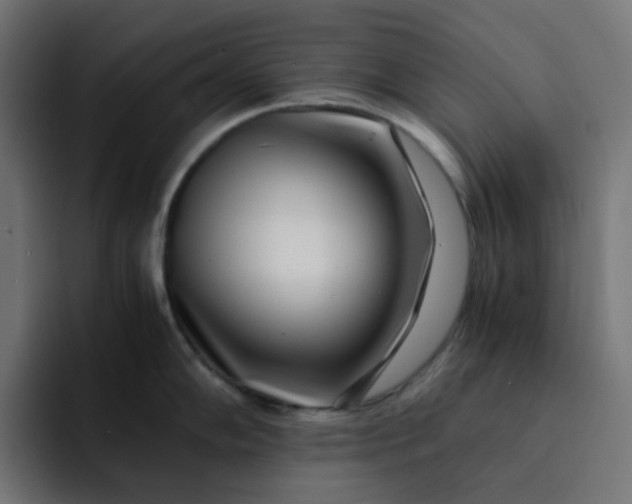 X0000093161102200710101149
