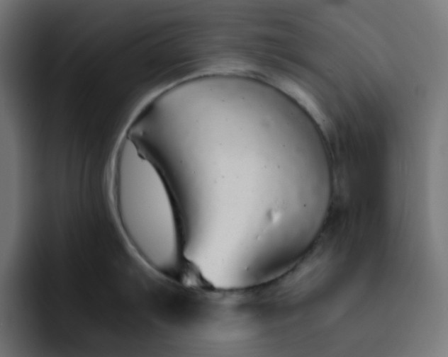 X0000093161103200710101149