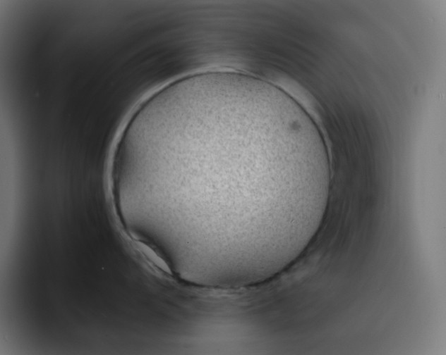X0000093161104200710101149