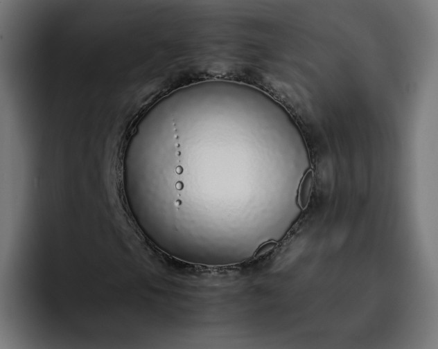 X0000093161105200710101149