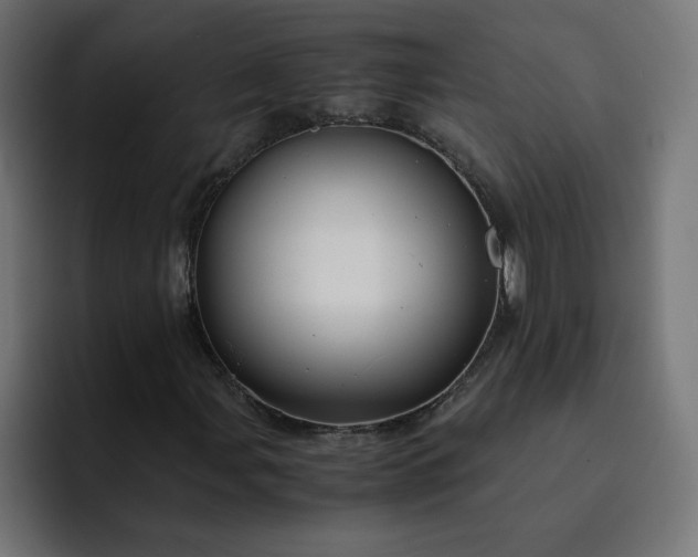 X0000093161107200710101149