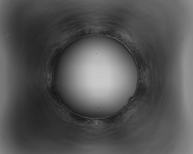 X0000093161109200710101149