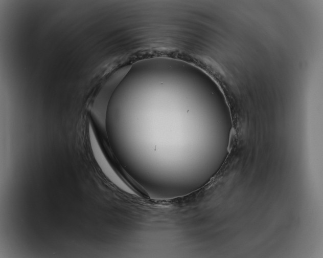 X0000093161110200710101149