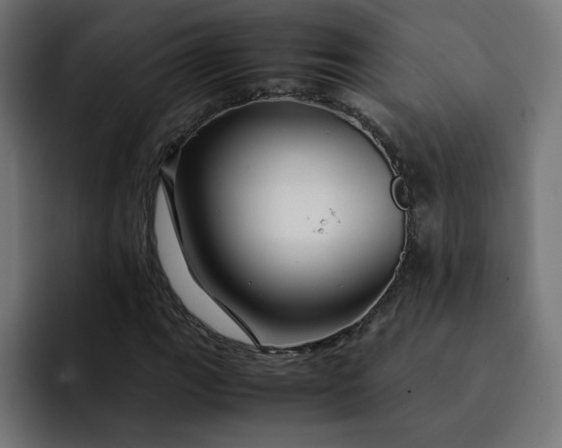 X0000093161111200710101149