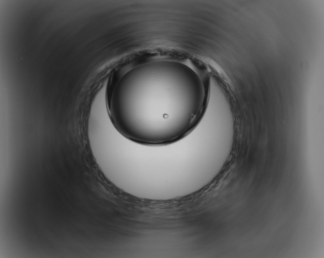 X0000093161112200710101149