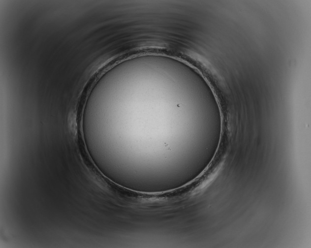 X0000093161113200710101149