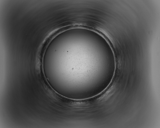 X0000093161115200710101149
