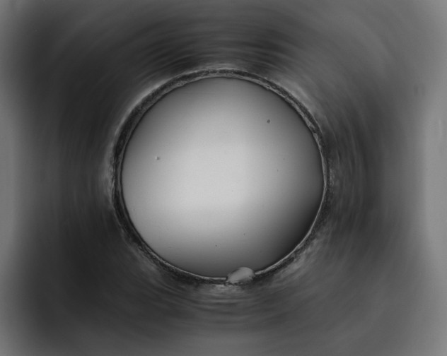 X0000093161119200710101149