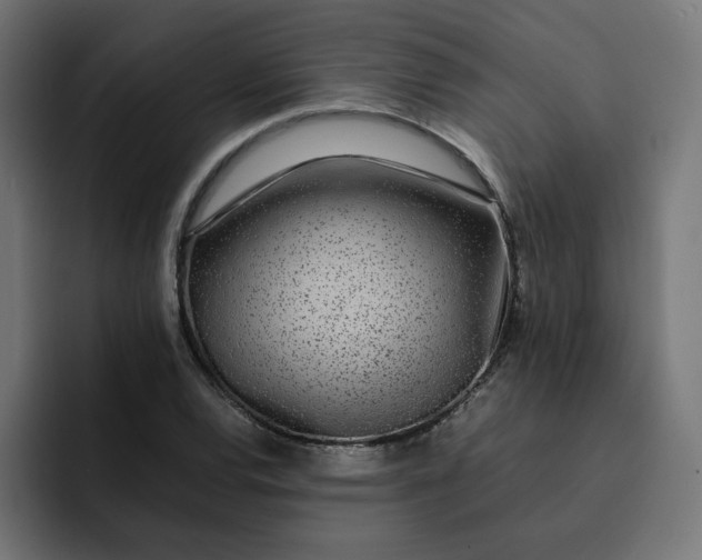 X0000093161120200710101149