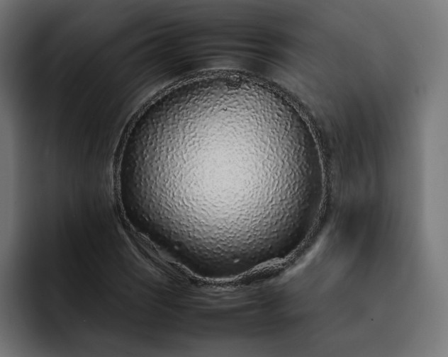 X0000093161121200710101149