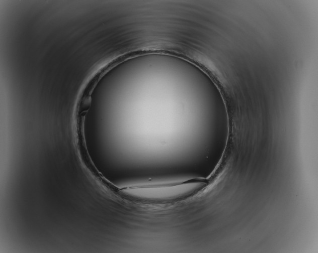 X0000093161122200710101149