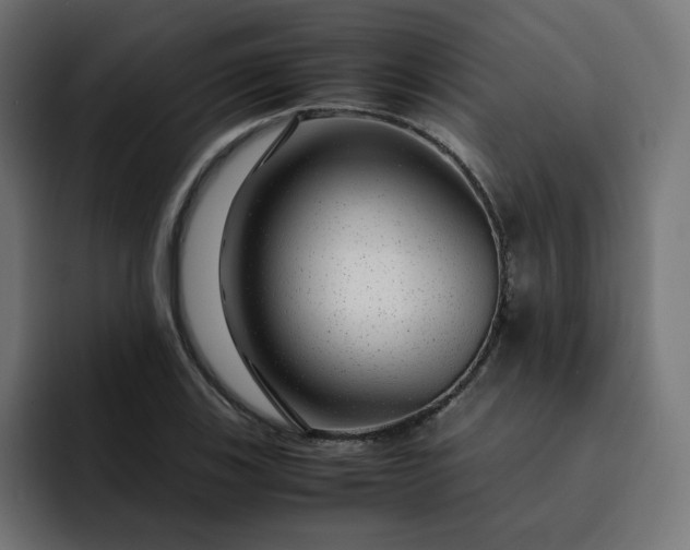 X0000093161123200710101149