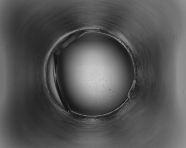 X0000093161124200710101149