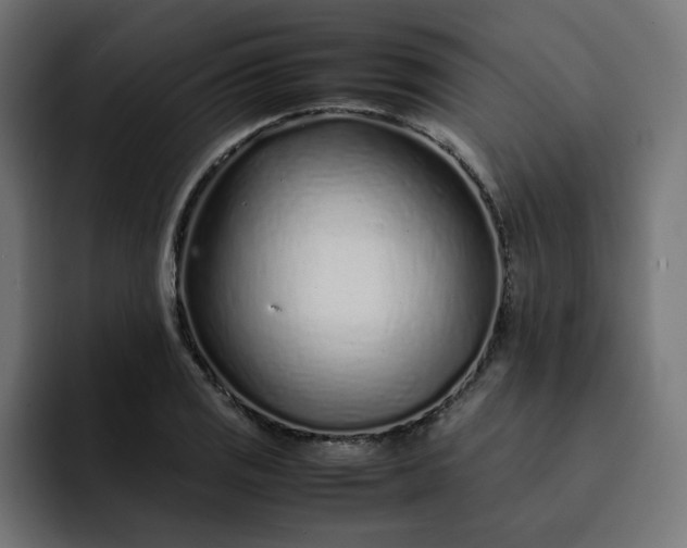 X0000093161125200710101149