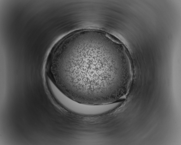 X0000093161128200710101149