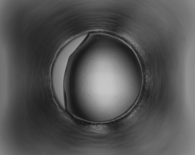 X0000093161129200710101149