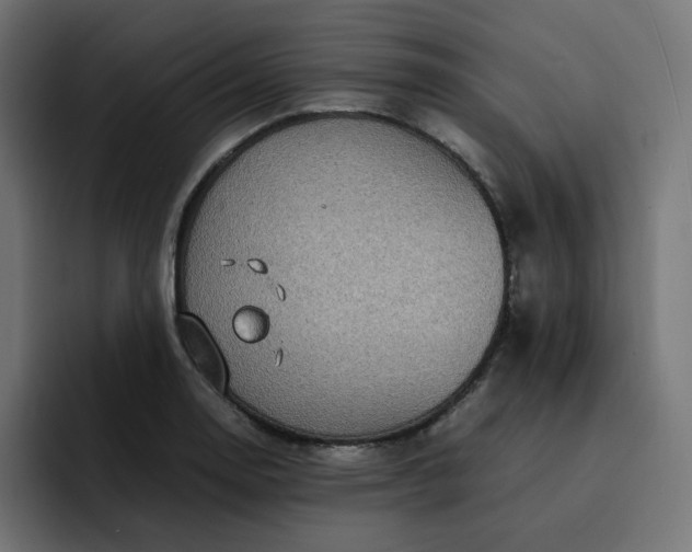 X0000093161130200710101149