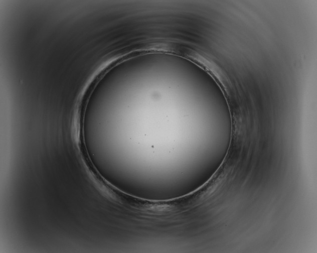 X0000093161131200710101149