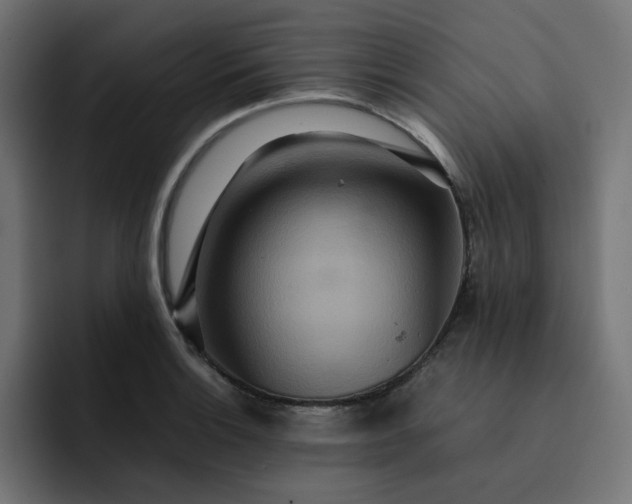X0000093161132200710101149