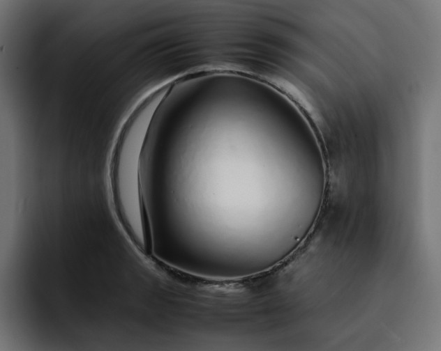 X0000093161133200710101149