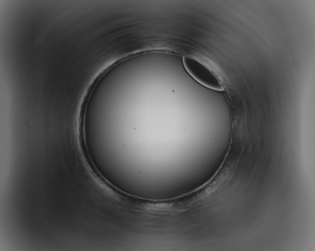 X0000093161135200710101149